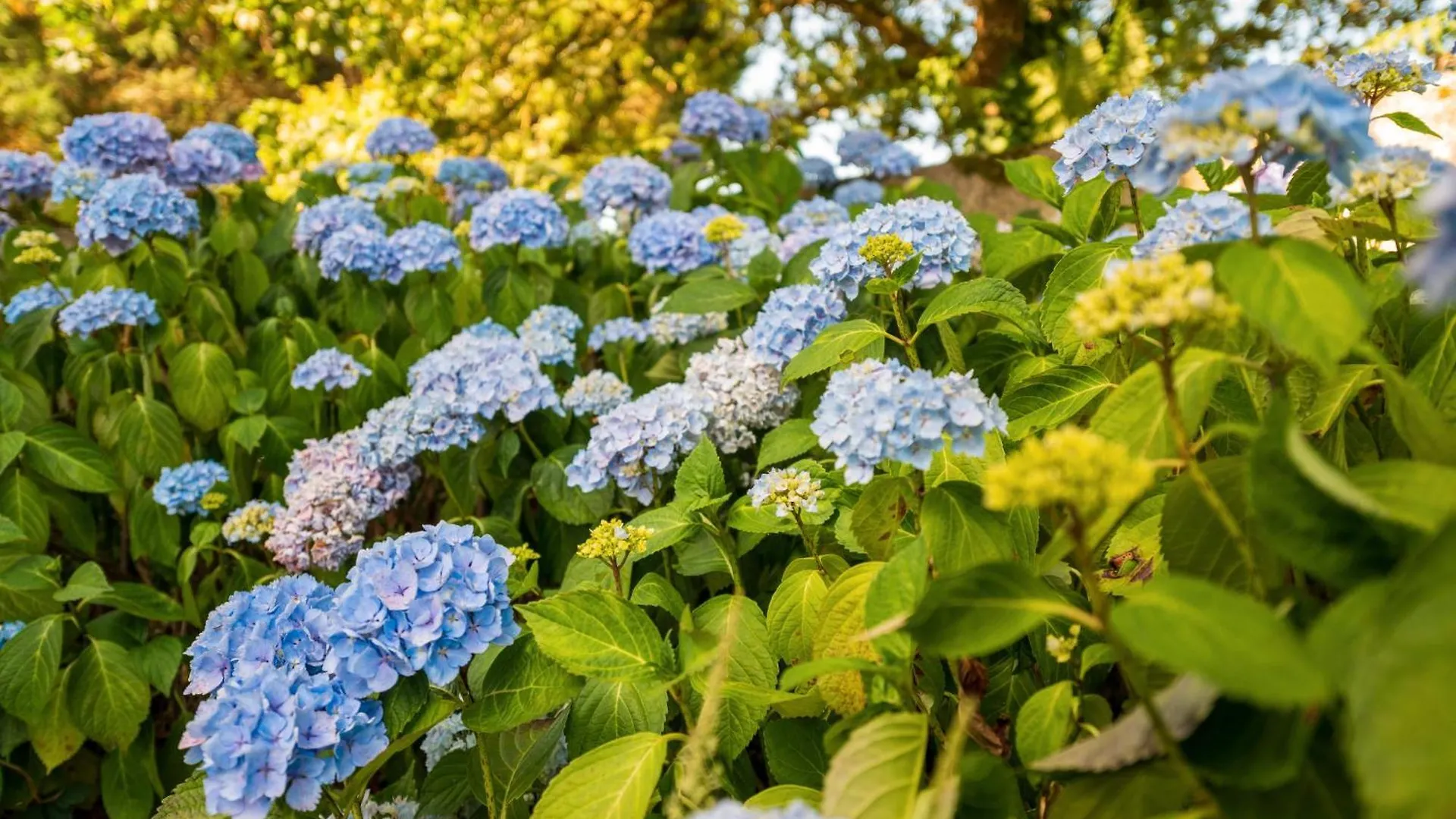 Au Pied Des Chenes Lägenhet Crach Frankrike